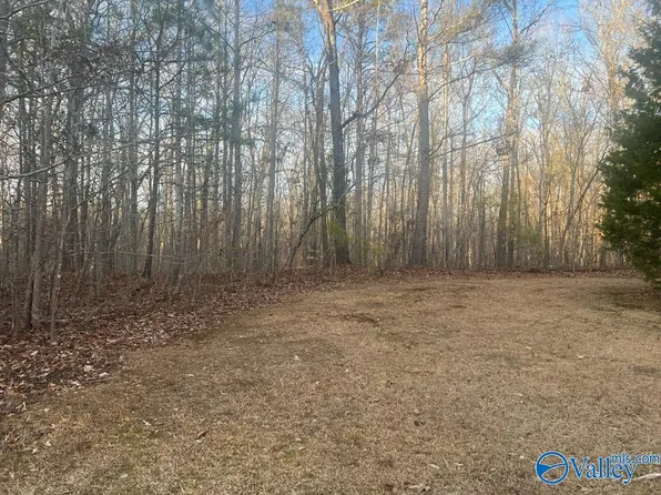 1062 County Road 137, Cedar Bluff, AL 35959