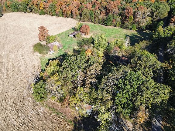 3rd image of 667 Linden Dr