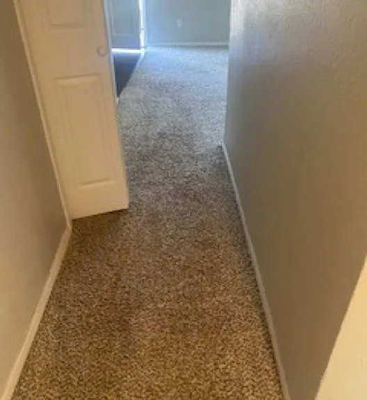 Madeira Apartments — Photo 28