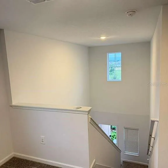 621 Sand Pine Ln — Photo 19