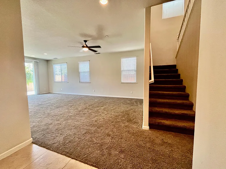 3913 Purple Finch Ln — Photo 6