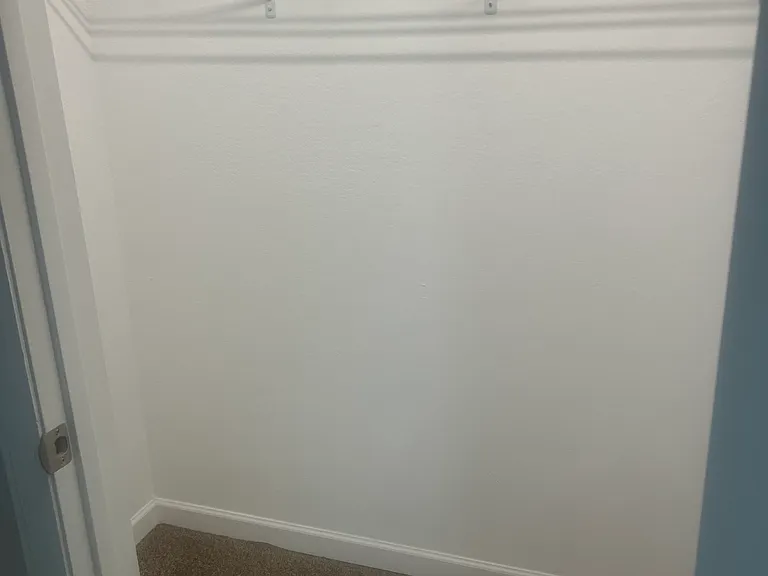 back bedroom large closet