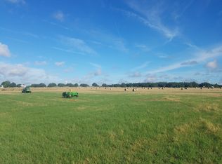 11938 Montevista Rd, Clermont, FL 34711