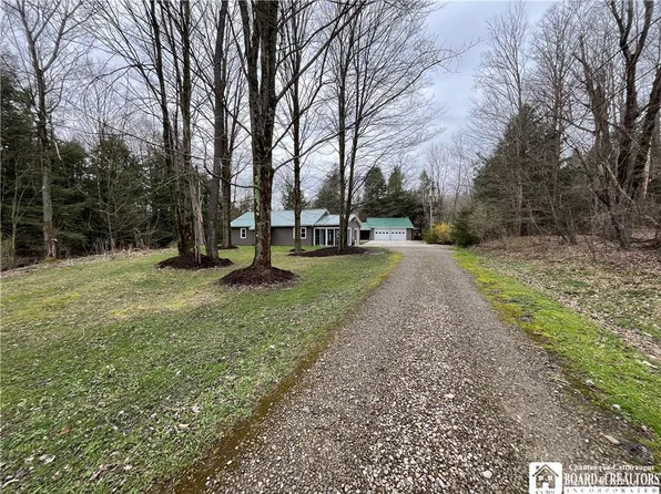 13040 Pratham Rd, Springville, NY 14141
