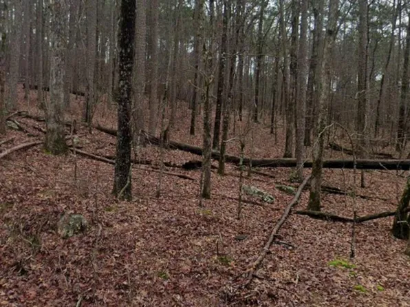 29 Canete Ln, Hot Springs Village, AR 71909