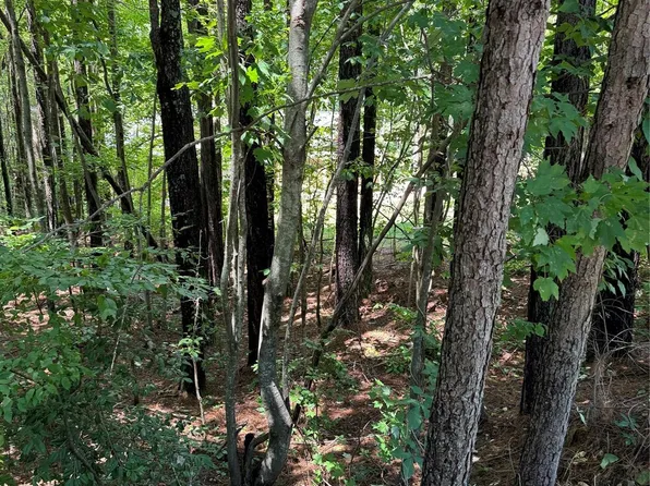 LOT 1 Maiden Salem Rd, Maiden, NC 28650