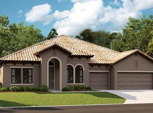 10144 Meadowrun Dr, Lithia, FL 33547