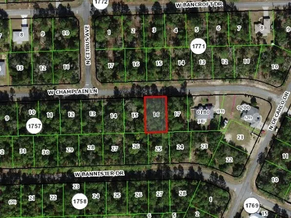 822 W Champlain Ln, Citrus Springs, FL 34434
