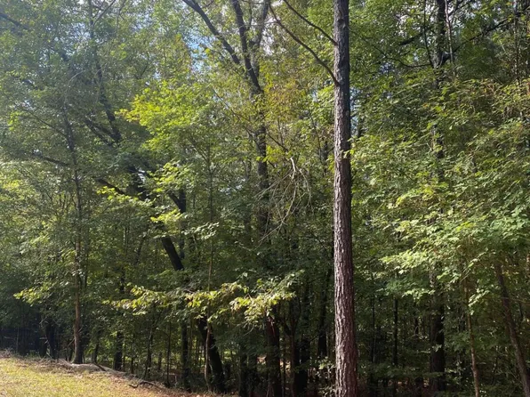 1950 Reids Ferry Rd, Buckhead, GA 30625