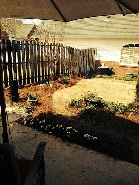 Back Porch