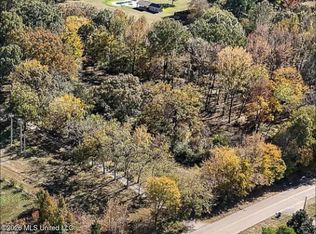 Douglas Rd LOT 4, Hernando, MS 38632