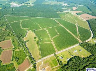 Patty Rd, Cades, SC 29518