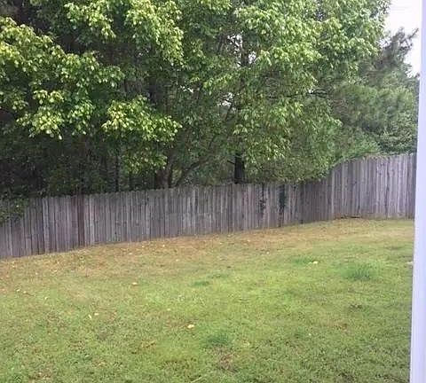 Back yard