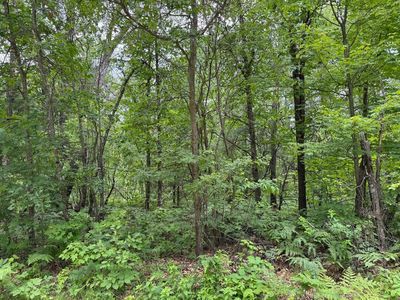 LOT 33 Highland Trl, Houghton Lake, MI, 48629