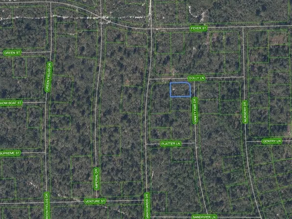 305 Dolly Ln, Lake Placid, FL 33852