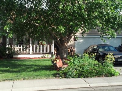 258 S Golden Dr, Silt, CO, 81652