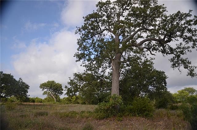 2nd image of 10029 Brangus Rd