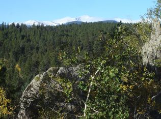 3254 Ridge Rd, Nederland, CO 80466