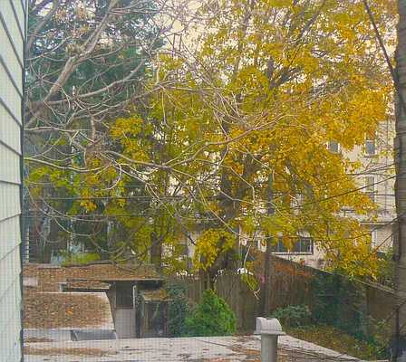 Rented by Limestone Realty Bklyn, LLC | media 7