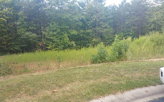2nd image of 45 Bear Hollow Ct