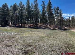 134 Elk Valley Rd, Bayfield, CO 81122