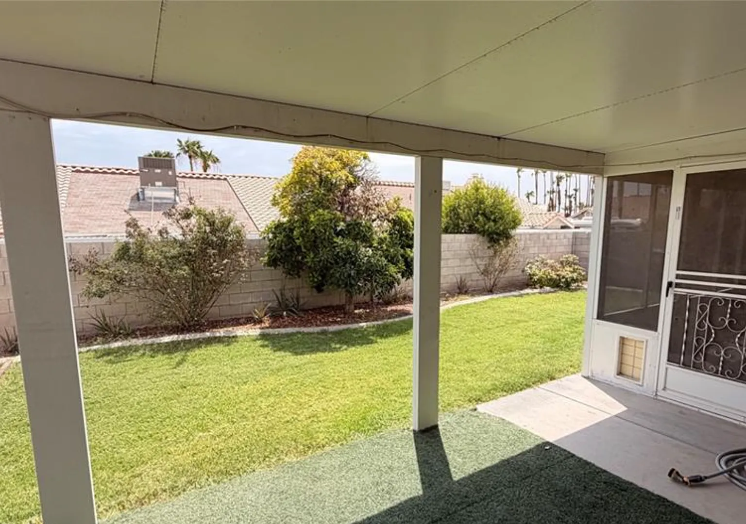 6263 Dalbergia — Photo 4