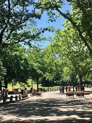 Sold by Corcoran | media 19