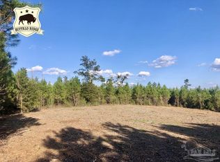 LOT 16 Buffalo Ridge Rd, Milton, FL 32571