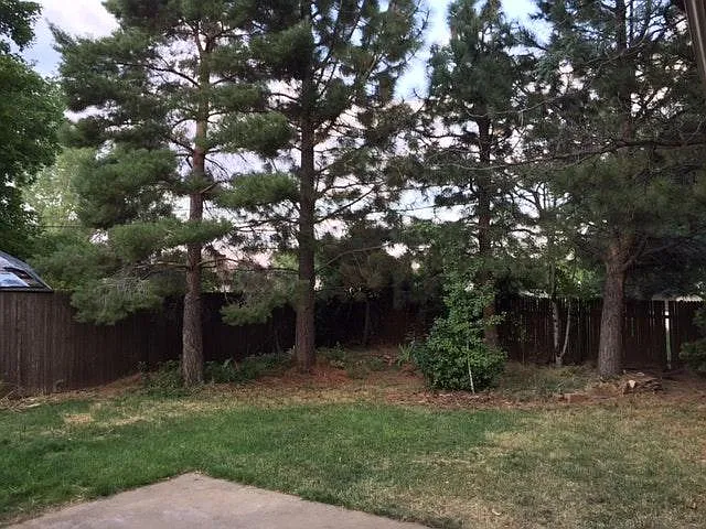 3 bed, 1500 sqft, $3,475 — Photo 3