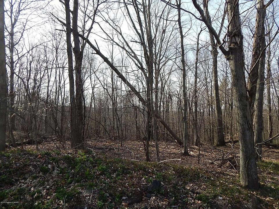 2nd image of Chelsea Dr