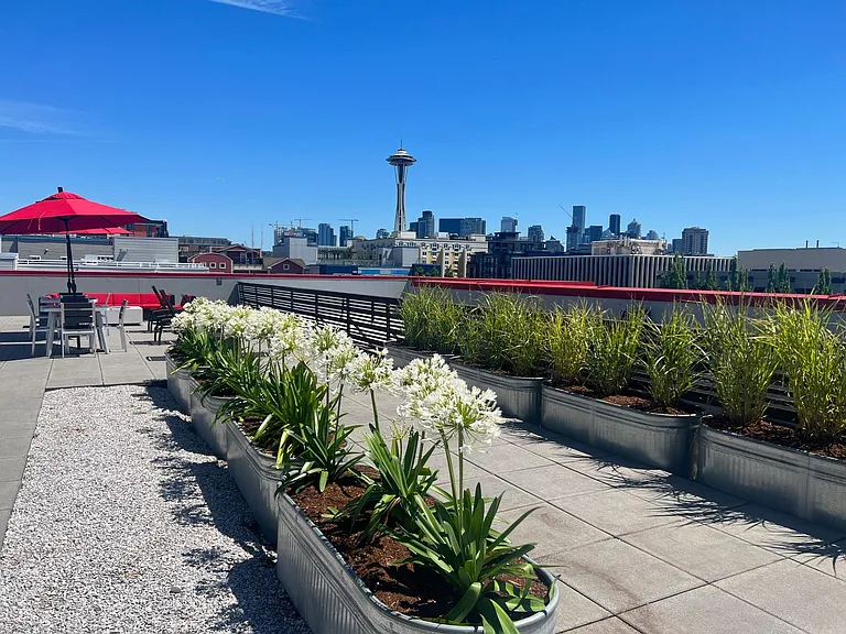 Queen Anne Flats — Photo 7