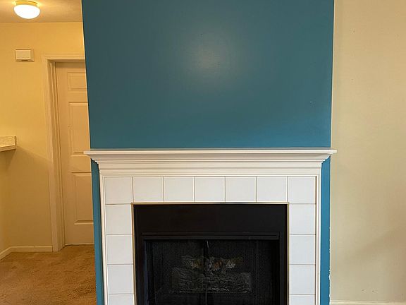 GAs fire Place.