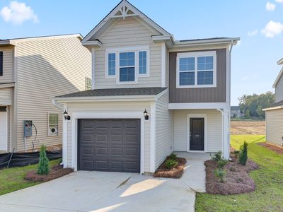 1139 Bergenfield Ln, Chapin, SC, 29036