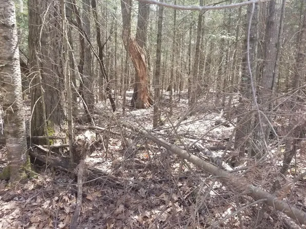 Silver Shore Ln, Eagle River, WI 54521