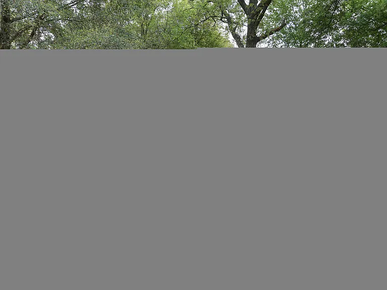 6115 Willow Ln N — Photo 15