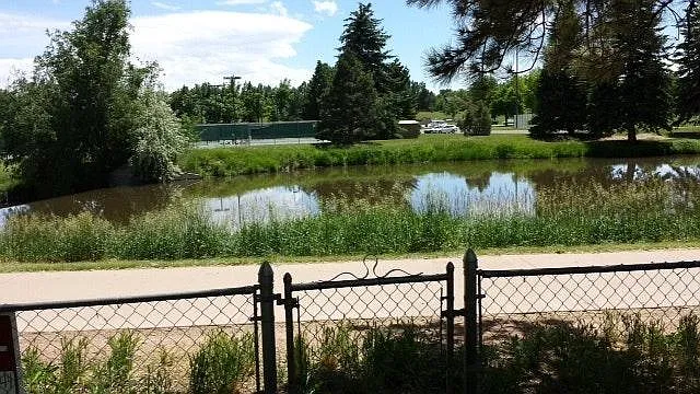 Back gate