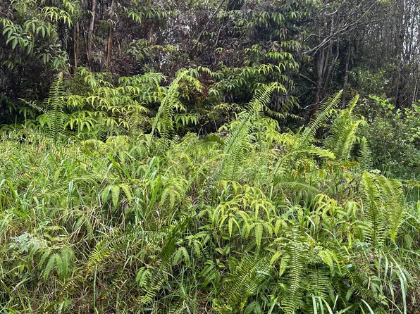 Road 14 Lot 867, Mountain View, HI 96771