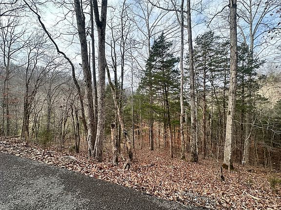 5th image of 111 Roach Rd
