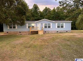 228 Heavenly Ct, Latta, SC 29565