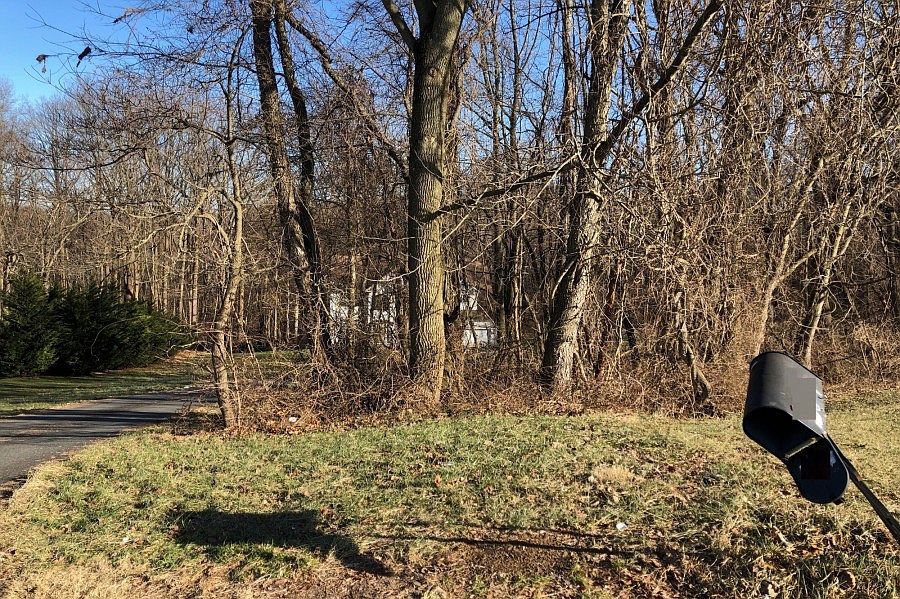 2nd image of 104 Elizabeth Way