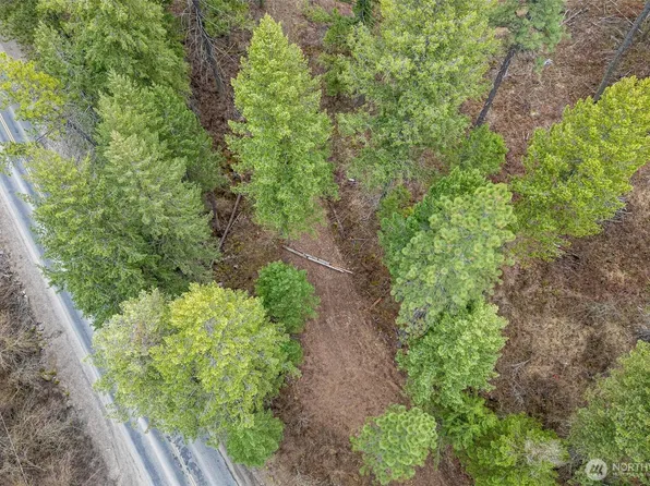 4700 E Deer Park Milan Road, Chattaroy, WA 99003