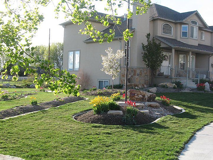 Front Yard