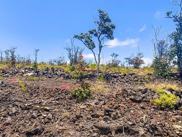 1st image of Pineapple Pkwy Lot 15