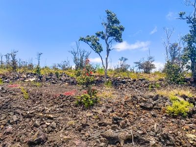 Pineapple Pkwy Lot 15, Captain Cook, HI, 96704