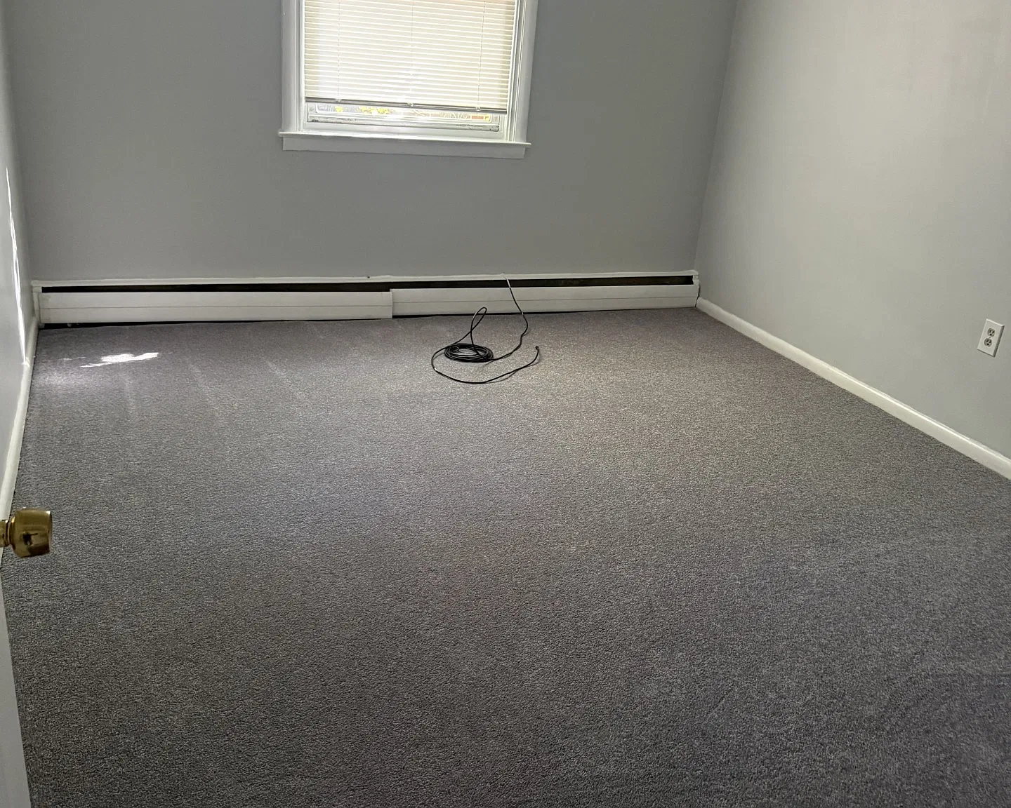 2 bed, $1,300 — Photo 4