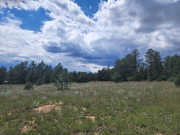 2nd image of Deer Path Cir