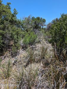 N Cody Loop Rd, Oracle, AZ, 85623
