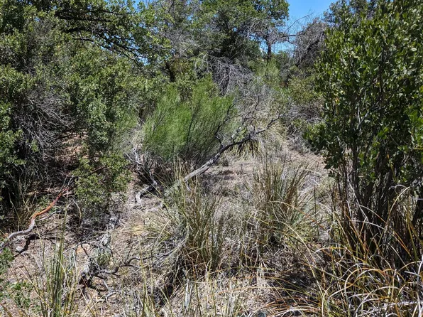 N Cody Loop Rd, Oracle, AZ 85623