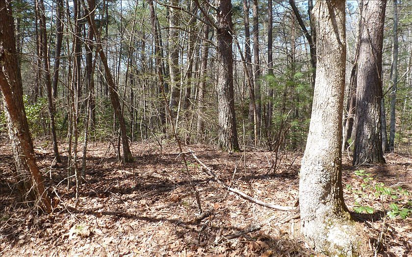 2nd image of 38 Wehutty Rd