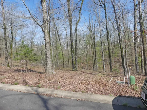 LOT 10 Rose Creek Ct, Hot Springs National Park, AR 71901